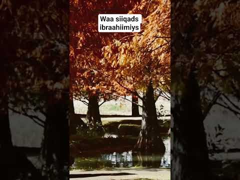 SALIGANABIGA MARKII AY KU CELCELISAY Way Dhooftay