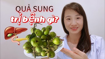 Quả Sung có tác dụng trị bệnh gì? Có nên uống nước quả sung khô hàng ngày không?