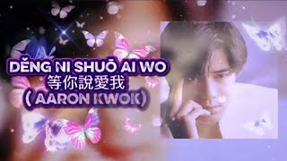 Deng Ni Shuo Ai Wo 等你說愛我 - Aaron Kwok 郭富城 (Lirik) 
