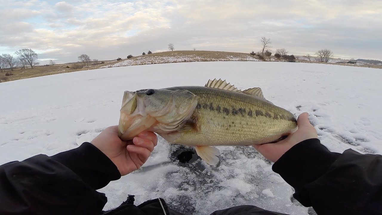 Iowa Farm Pond Ice Fishing!! (2018) YouTube