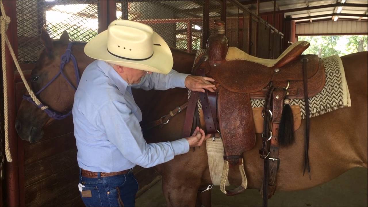 Horse Cinch Size Chart