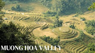 HIKING ALONG THE HUONG MUA VALLEY RICE FIELDS