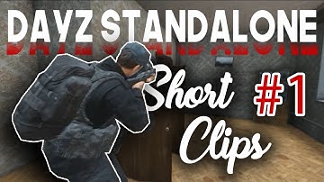 DESYNC - Dayz Mashup #1