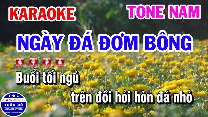 Karaoke Ngày Đá Đơm Bông || Nhạc Sống Cha Cha Tone Nam || Karaoke Tuấn Cò