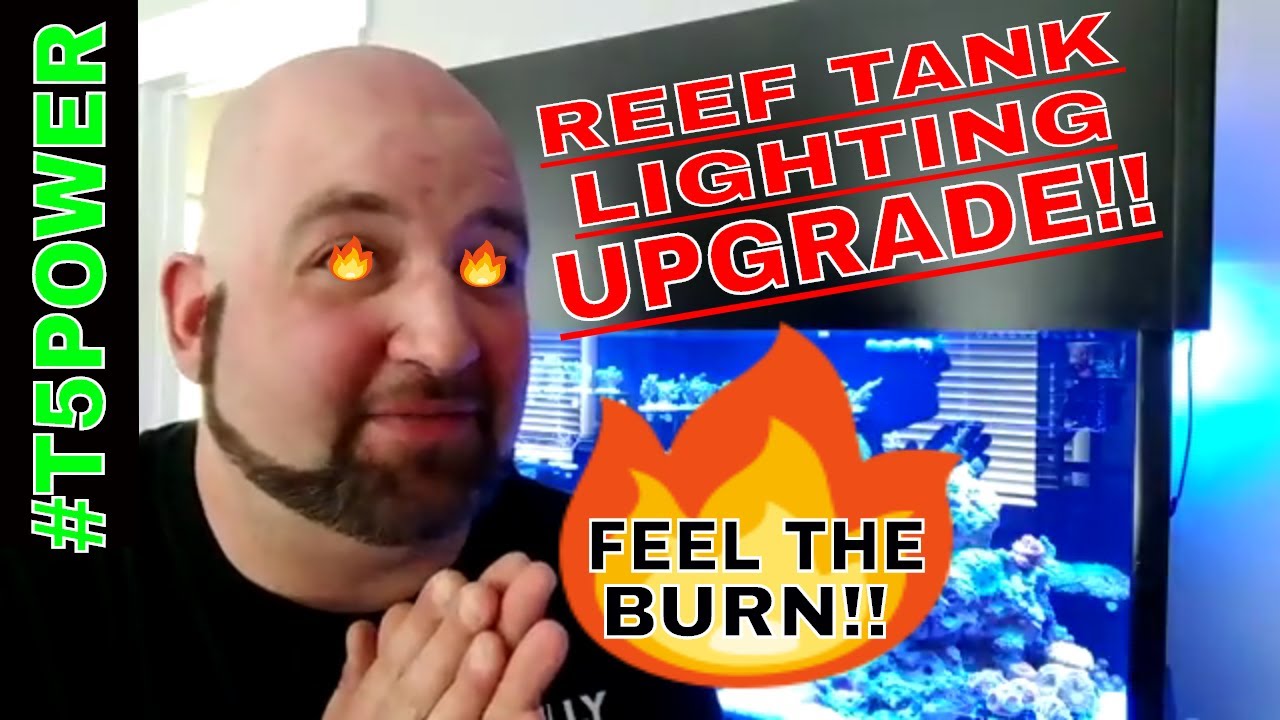 Reef Tank Lighting Upgrade - DIY T5 Fixture