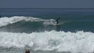 CHRONIC LAW Heart Manual NEW May 2022 Surfing Lefts Video WITH Lyrics