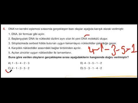 hqdefault.jpg?sqp=-