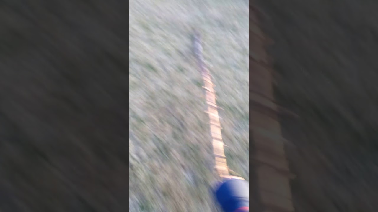 removed all limbs with dull axe