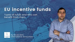 EU incentive funds: What are the types of funds and who can benefit from them?
