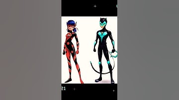 Miraculous - Dragon bug and Snake Noir