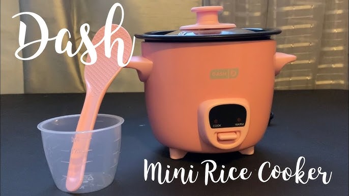 Dash 2-Cup Electric Mini Rice Cooker - Graphite