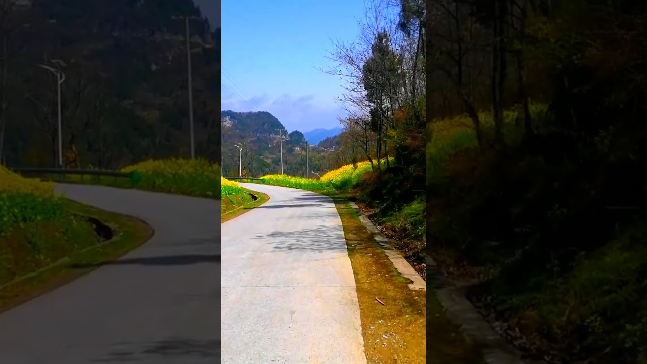 10 Essential Camping Tips Every Beginner Should Know 