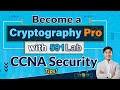 Master Cryptography in 2024: 591 Essential LabCCNA Security Tips π