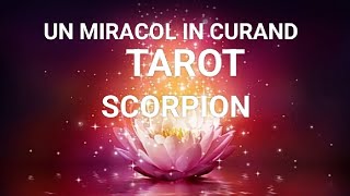 🌞 SCORPION 🌞INTERVENTIE DIVINA 🌞 MIRACOLE IN CURAND 🌞#tarot #scorpion