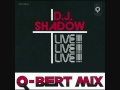 Camel Bobsled Race - DJ Shadow & Q-Bert (Complete Mix)