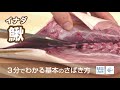 鰍（いなだ）のさばき方 - How to filet Young Yellowtail -｜日本さばけるプロジェクト（海と日本プロジェクト）