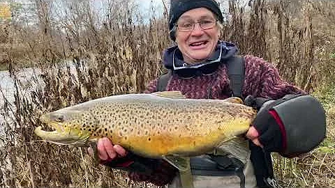 Sandy Creek Hamlin, NY Nov 2022