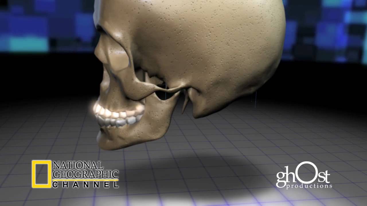 Medical Animation / Ghost Productions / National Geographic Reel