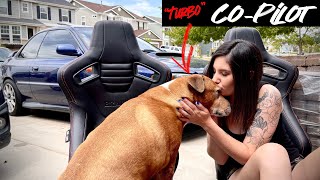 Adding Braum seats to her GC8! Doggo's Allowed! Keeping The Braum Seats Power