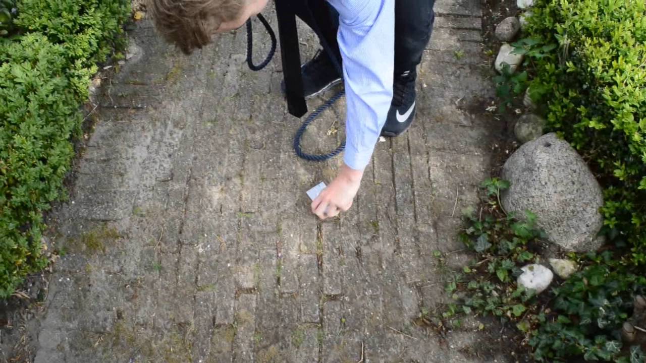 Belcampo de Surprise (film-trailer)