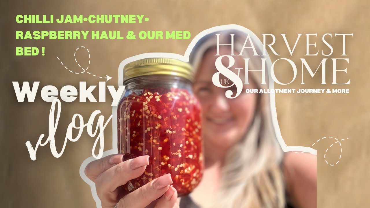  UK Allotment Vlog | How to make Chilli Jam | How to make Green Tomato Chutney 