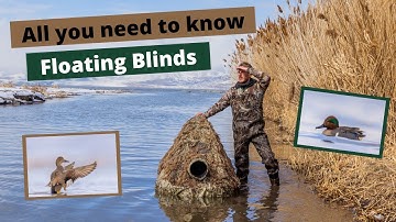 In my DIY Floating Blind, photographing birds. What you need to know when using a Floating Blind