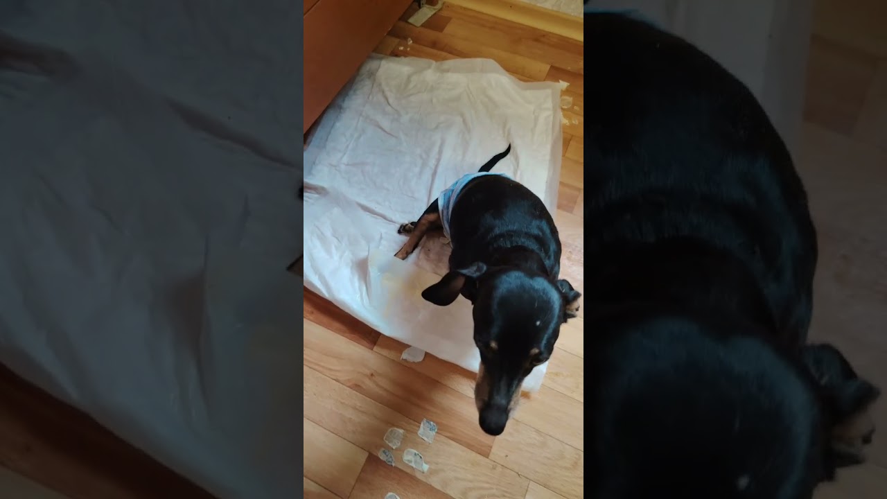 ✅Карты Сбербанк, Т банк, ВТБ, ОЗОН Подключены к номеру ☎89618898412 Ольга Р с пометкой "помощь 🦮