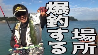 競争率激しいポイントで大物を狙え＃1