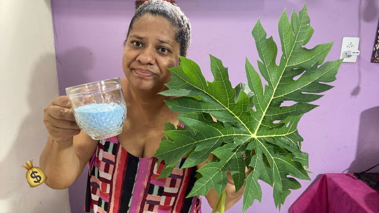 🔴Você já fez isso ?? Folhas de mamão e sabão em pó Todos estão enlouquecidos com essa receita
