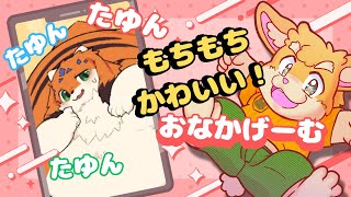 【ゲーム配信】巷で話題！もちもちかわいいおなかゲーム！【ハムスターVtuber/日葵ときと】