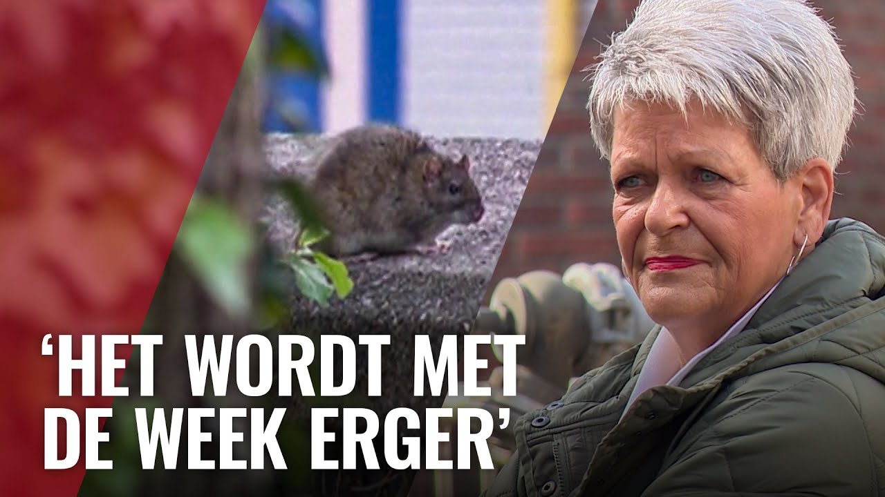 Wilma is klaar met ratten en troep bij Amsterdamse Poort