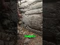 Inside Dzibilchaltún – Part 3 | Ancient Maya City