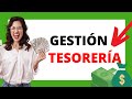 Gestión de tesorería