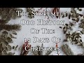 The Supremely Odd History Of The 12 Days Of Christmas