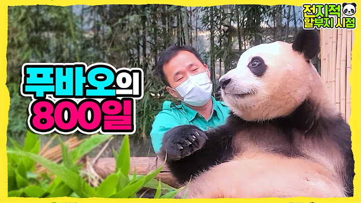 (SUB) The 800th Day After A Panda Was Born│Panda Family🐼