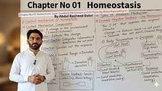 Osmosis: Hypertonic, Hypotonic &amp; Isotonic Solutions | Easy Biology Lecture 09 l Urdu/Hindi 