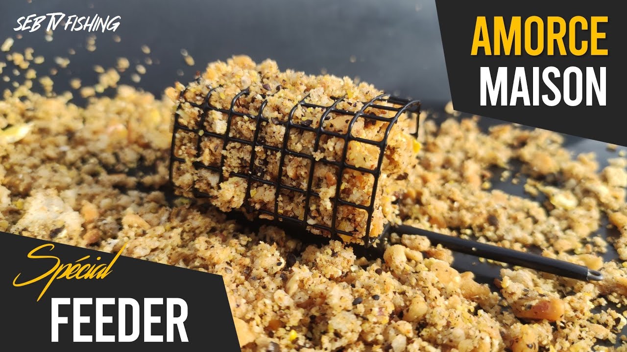 AMORCE Maison spécial FEEDER