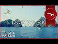 【 For 8KTV 】 【 8K 】 【 TIME 11:42 】 1MIN Moments ‘Island of seagulls&#39; Republic of Korea, Dokdo