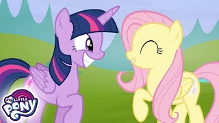 My Little Pony Deutsch 🦄 Die Hooffields und die McColts | Freundschaft ist Magie | Ganze Folge