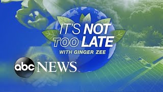 It’s Not Too Late: Saving the manatees l ABCNL