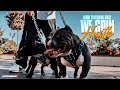 N Dub - We Goin Hustle Ft. Bozo (Official Music Video)