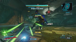 How to get the MAGGIE and VICTORY RUSH/DEATHLESS variants in Borderlands 3