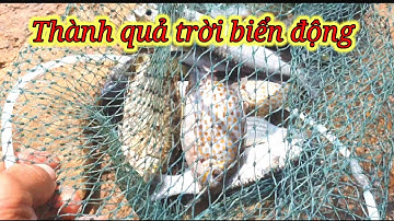 VUONG LT VLOG | câu cá biển nhơn hải trời biển động đầy gian nan cùng anh,em