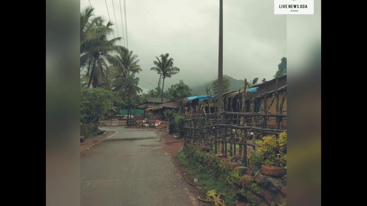 GOA AT ITS GREEN BEST: TREKKERS MISS MONSOON HIKES FOR NOW