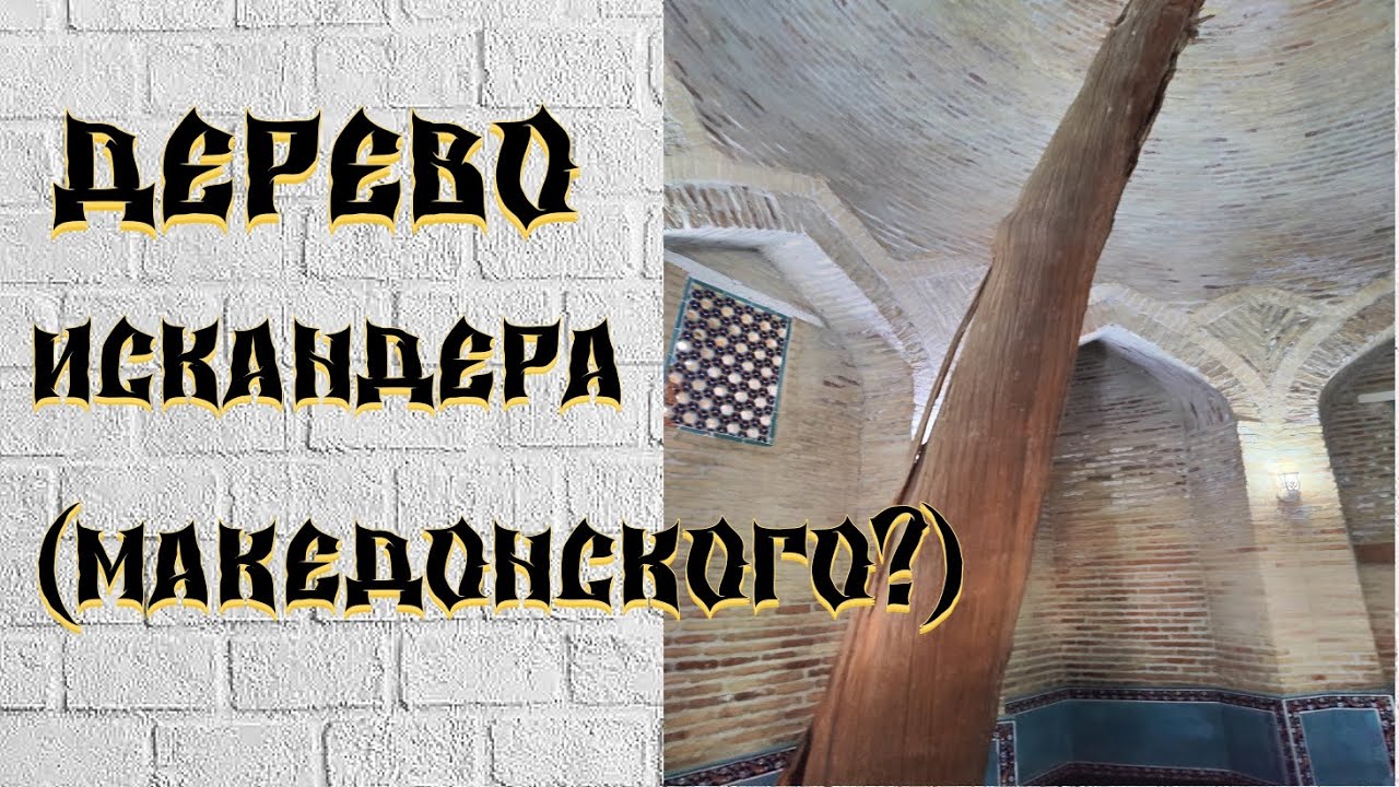 Дерево Александра Македонского - Шейх Ан Таур