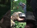 NUNCA RAID UMA BASE SOLO NO SCUM #shorts #scum