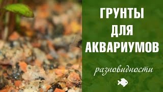 видео Грунт аквариумный