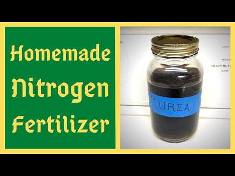 Homemade Nitrogen Fertilizer & Compost Activator - Urea/Human Urine -  JADAM