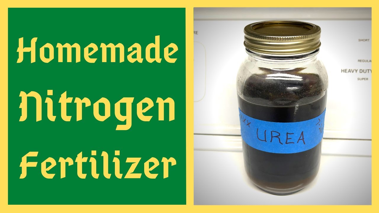 Homemade Nitrogen Fertilizer & Compost Activator Urea/Human Urine