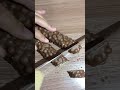 Perfect Chocolate Cutting | Oddly Satisfying ASMR 🍫😋 #asmr #asmrsounds